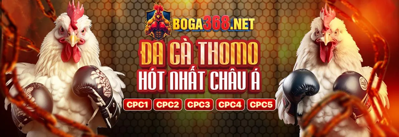 Đá Gà Trực Tuyến by88